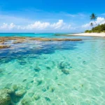 Viaje pelo Caribe Brasileiro de ônibus com a Guanabara: Guia completo